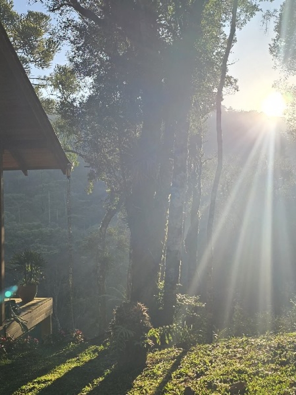 Estrutura - Fotos
